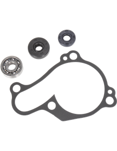 Kit reparación bomba de agua HOT RODS WPK0059