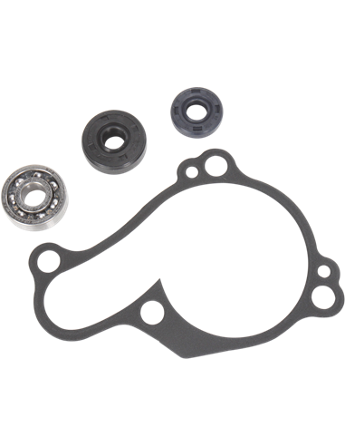 Kit reparación bomba de agua HOT RODS WPK0059