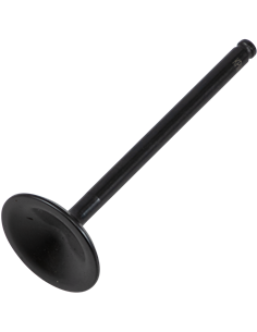 Válvula de motor Black Diamond™ KIBBLEWHITE 80-80876