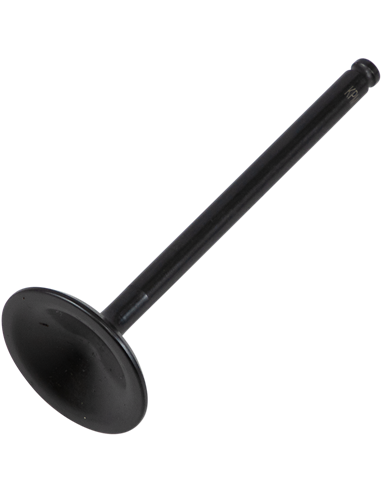 Válvula de motor Black Diamond™ KIBBLEWHITE 80-80876