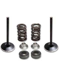 Kit de muelle de válvula KIBBLEWHITE 80-81100