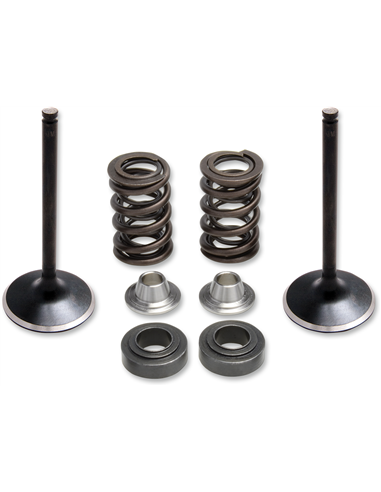 Kit de muelle de válvula KIBBLEWHITE 80-81100