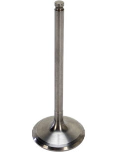 Válvula motor Tensilite® KIBBLEWHITE 80-80912T