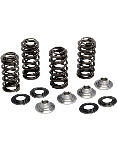 Kit de muelle de válvula KIBBLEWHITE 80-82300