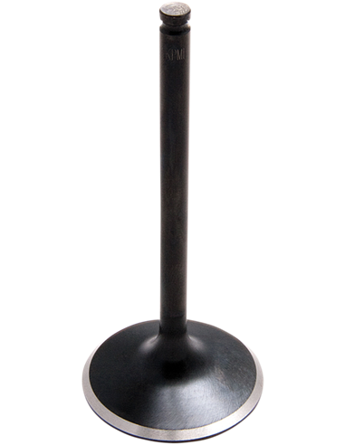 Válvula de motor Black Diamond™ KIBBLEWHITE 80-82312