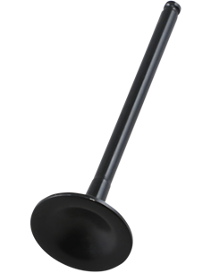 Válvula de motor Black Diamond™ KIBBLEWHITE 80-82316