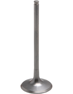 Válvula motor Tensilite® KIBBLEWHITE 80-82316T