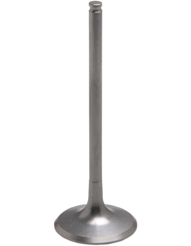 Válvula motor Tensilite® KIBBLEWHITE 80-82316T