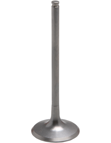 Válvula motor Tensilite® KIBBLEWHITE 80-82316T