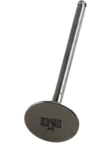 Válvula motor Tensilite® KIBBLEWHITE 80-82316T