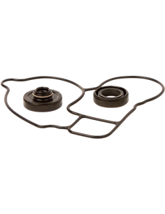 Kit reparación bomba de agua HOT RODS WPK0052