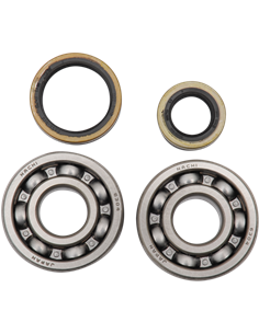 Kit de rodamientos y retenes de cabeza de biela HOT RODS K233