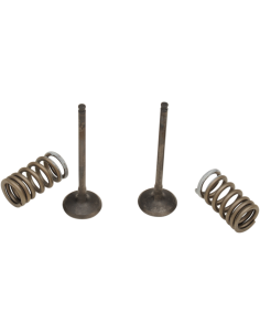 Kit de válvulas y muelles PROX 28.SES3338-1