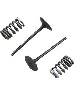 Kit de válvulas y muelles PROX 28.SIS3338-2