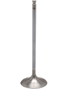 Válvula de motor White Diamond™ KIBBLEWHITE 60-60516H