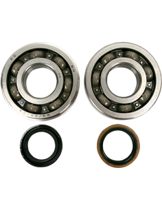 Kit de rodamientos y retenes de cabeza de biela HOT RODS K057