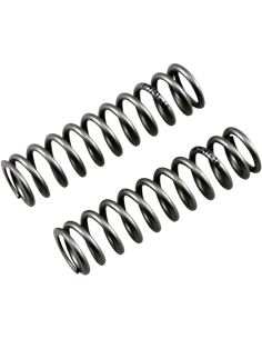 Muelles de horquilla RACE TECH FRPS 261018