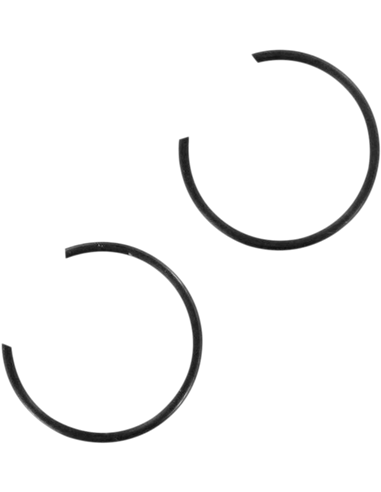 Circlip de recambio WISECO WCW19