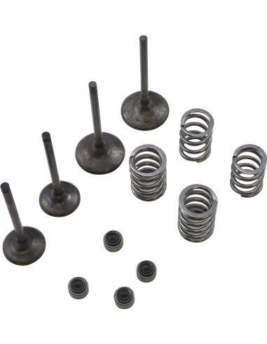 Kit de válvulas WISECO SVKB3407