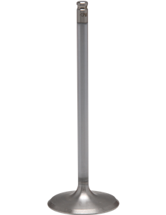 Válvula de motor White Diamond™ KIBBLEWHITE 60-60271H