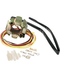 Estátor para Suzuki RICK'S MOTORSPORT ELECTRIC 21-812H