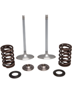 Kits de conversión de válvulas y muelles de acero inoxidable KIBBLEWHITE 40-41450