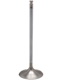 Válvula de motor White Diamond™ KIBBLEWHITE 40-41416H