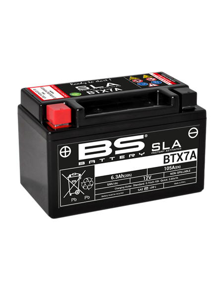 Baterías SLA AGM activadas de fábrica y sin mantenimiento BS BATTERY 300672