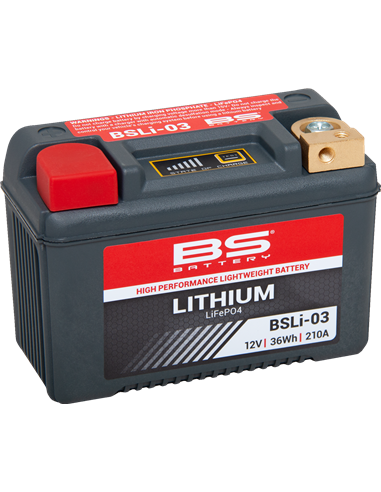 Batería de litio LiFePO4 BS BATTERY 360103
