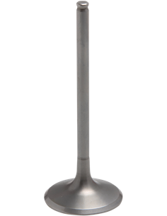 Válvula motor Tensilite® KIBBLEWHITE 40-41416T