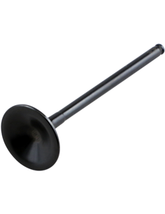 Válvula de motor Black Diamond™ KIBBLEWHITE 40-40143H