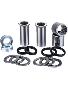 Rodamientos del basculante FACTORY LINKS SAK-K-179