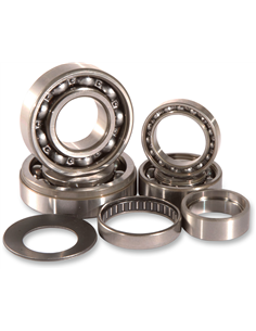 Kit de rodamientos de transmisión HOT RODS TBK0029