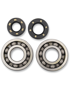 Kit de rodamientos y retenes de cabeza de biela HOT RODS K005