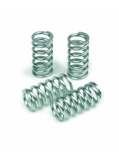 Kit de muelles de embrague TRW MEF106-4