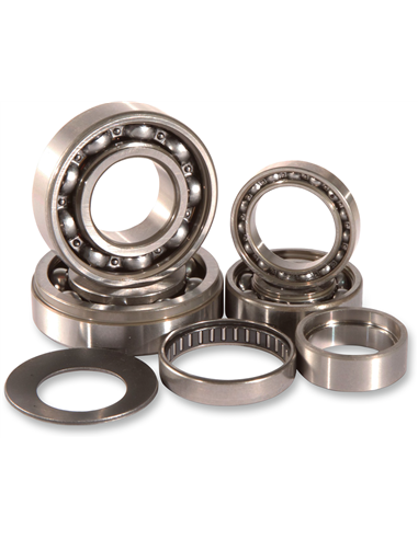 Kit de rodamientos de transmisión HOT RODS TBK0028