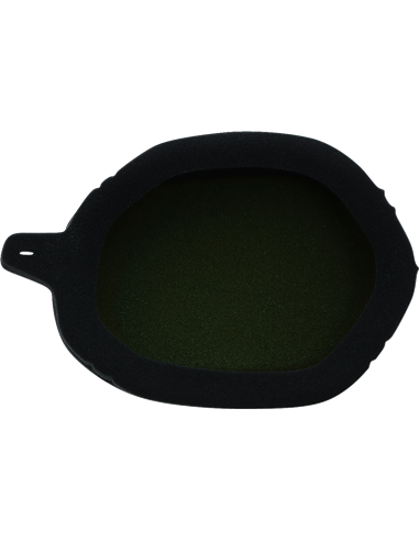 Pre-Oiled Air Filter TWIN AIR 151128X