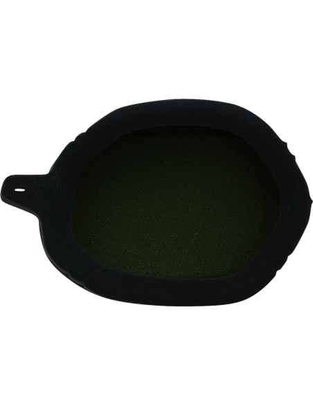 Pre-Oiled Air Filter TWIN AIR 151128X