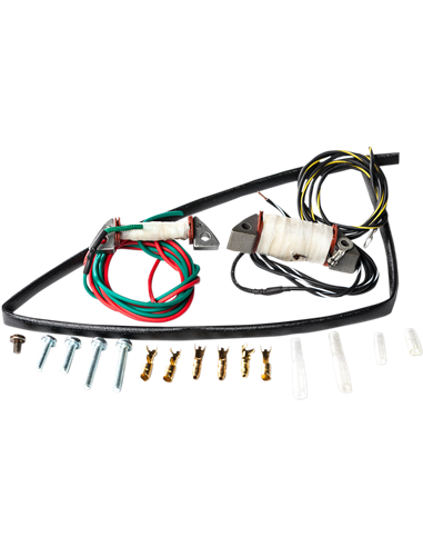 Kit de reparación de estátor para Kawasaki RICK'S MOTORSPORT ELECTRIC 22-703