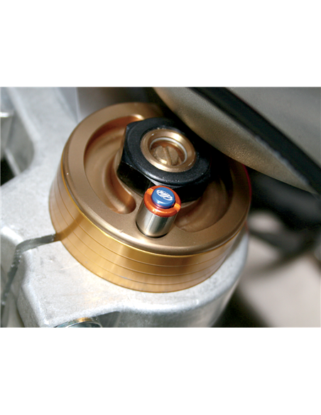 Micro-purgadores de horquilla MOTION PRO 11-0111