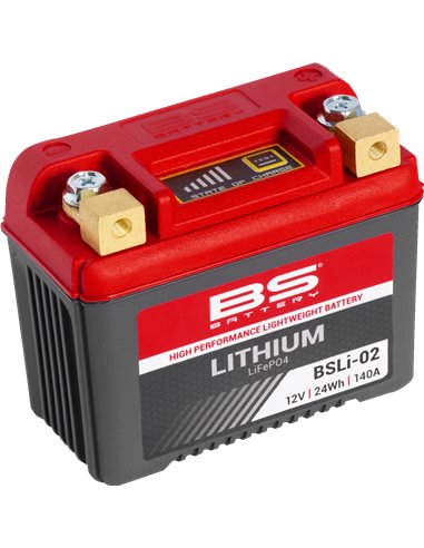 Batería de litio LiFePO4 BS BATTERY 360102