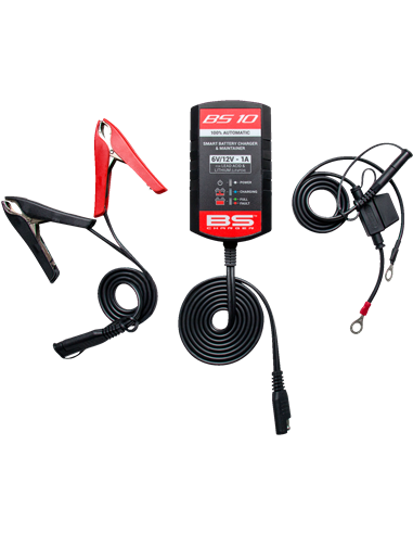 mainteneur de batterie SMART BS BATTERY 700516