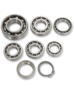 Kit de rodamientos de transmisión HOT RODS TBK0108