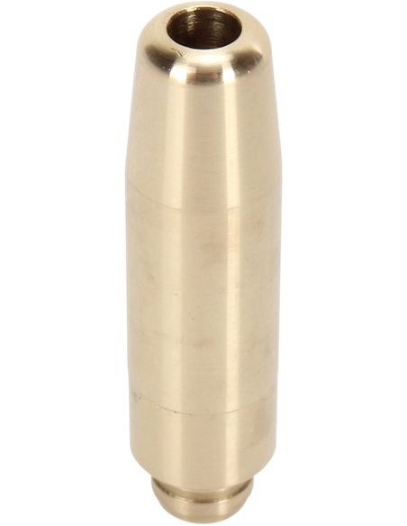 Guía de válvula KIBBLEWHITE 96-96420