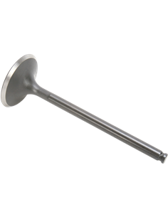 Válvula de motor Black Diamond™ KIBBLEWHITE 96-96004