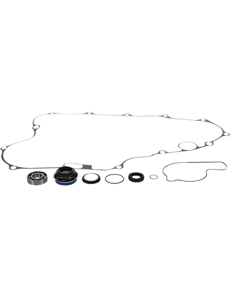 Kit de reparación de bomba de agua PROX 57.6213