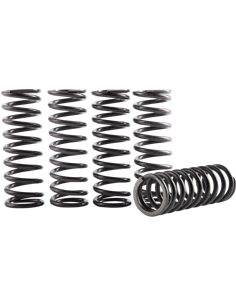 Kit de muelles de embrague Hinson Racing HINSON RACING CS616-2301