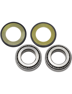 Kit de rodamientos de rodillos cónicos y retenes de columna de dirección ALL BALLS 22-1003