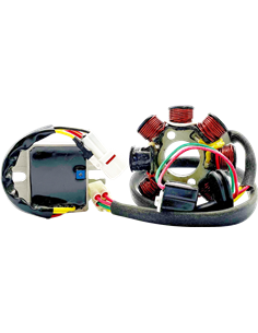 Lithium-Ion Compatible Charging Kit RICK'S MOTORSPORT ELECTRIC 14-99-903H