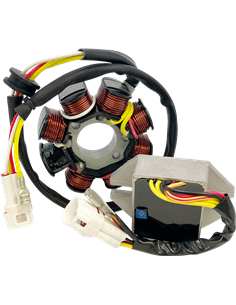 Lithium-Ion Compatible Charging Kit RICK'S MOTORSPORT ELECTRIC 14-99-902H